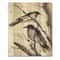 Designart - Vintage Monochrome Sleeping Crows - Traditional Print on Natural Pine Wood